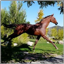 鑄銅關(guān)公 奔跑銅馬雕塑定制